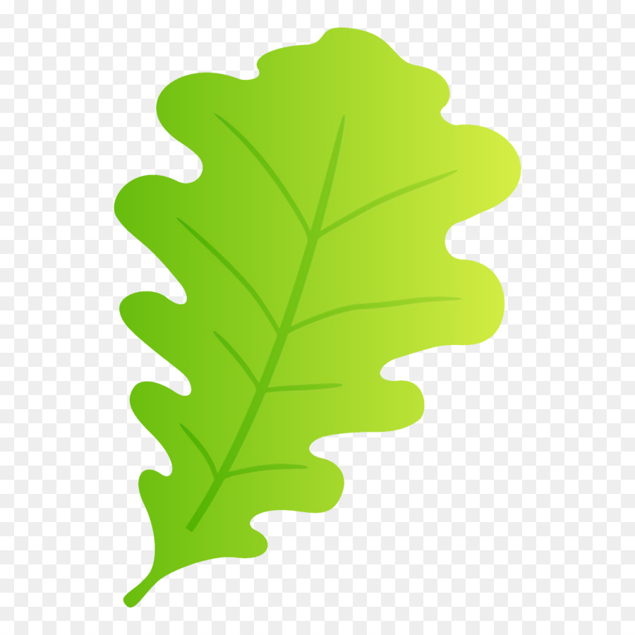 Feuille Verte，Usine PNG