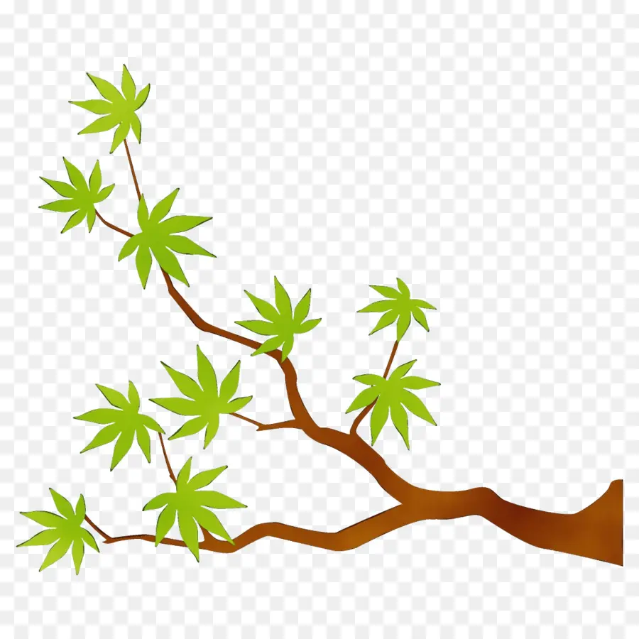 Branche Verte，Feuilles PNG