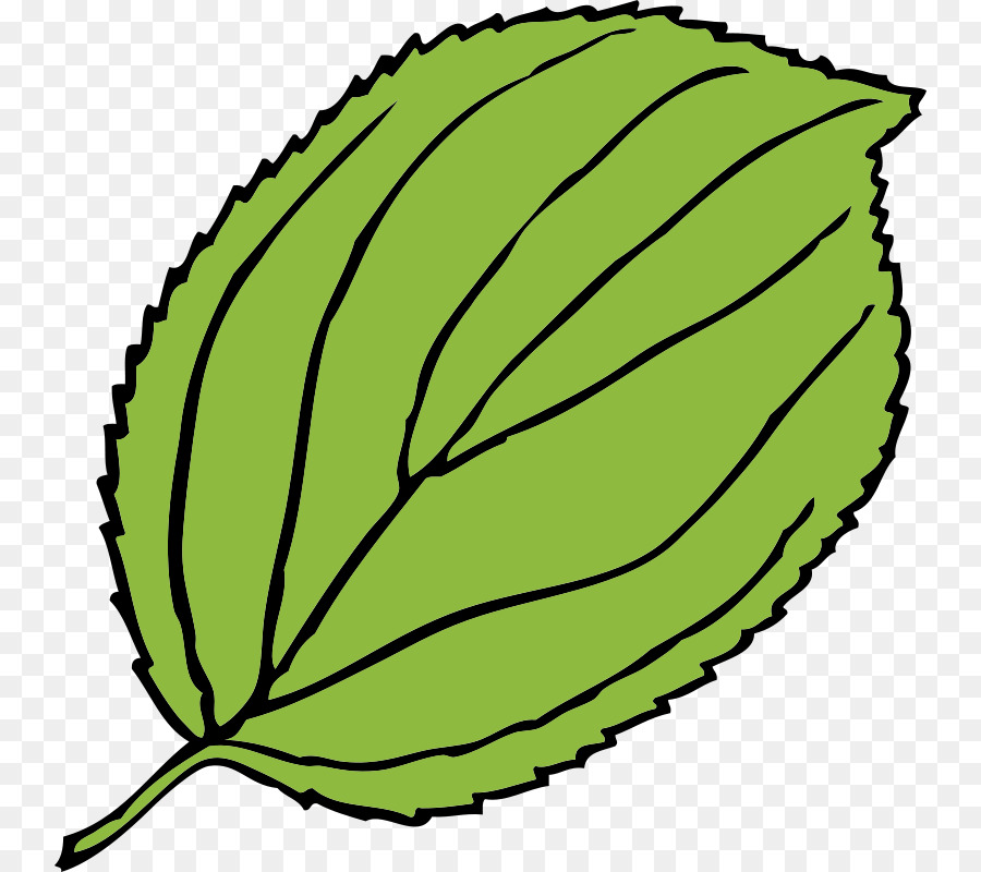 Feuilles Vertes，Bifurquer PNG