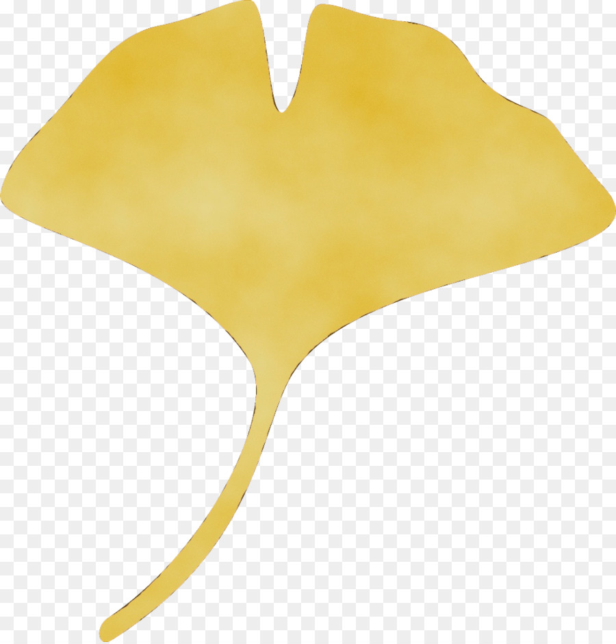Jaune，Feuille PNG