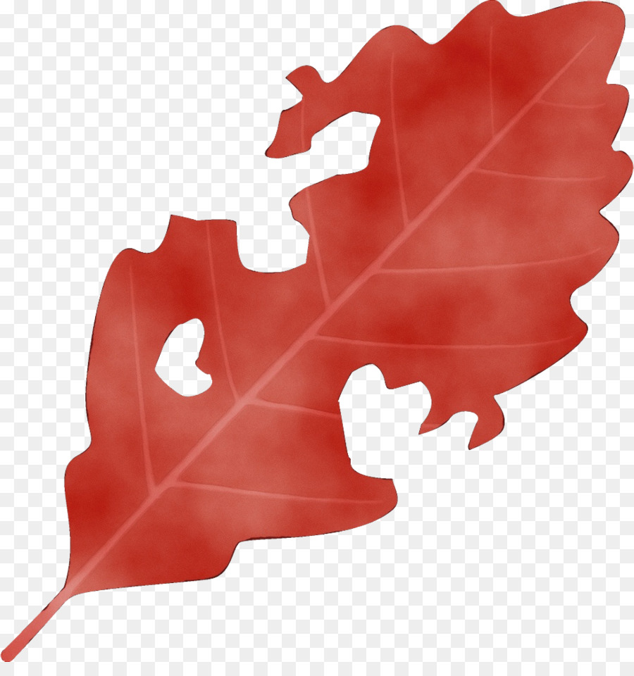 Feuille，Arbre PNG