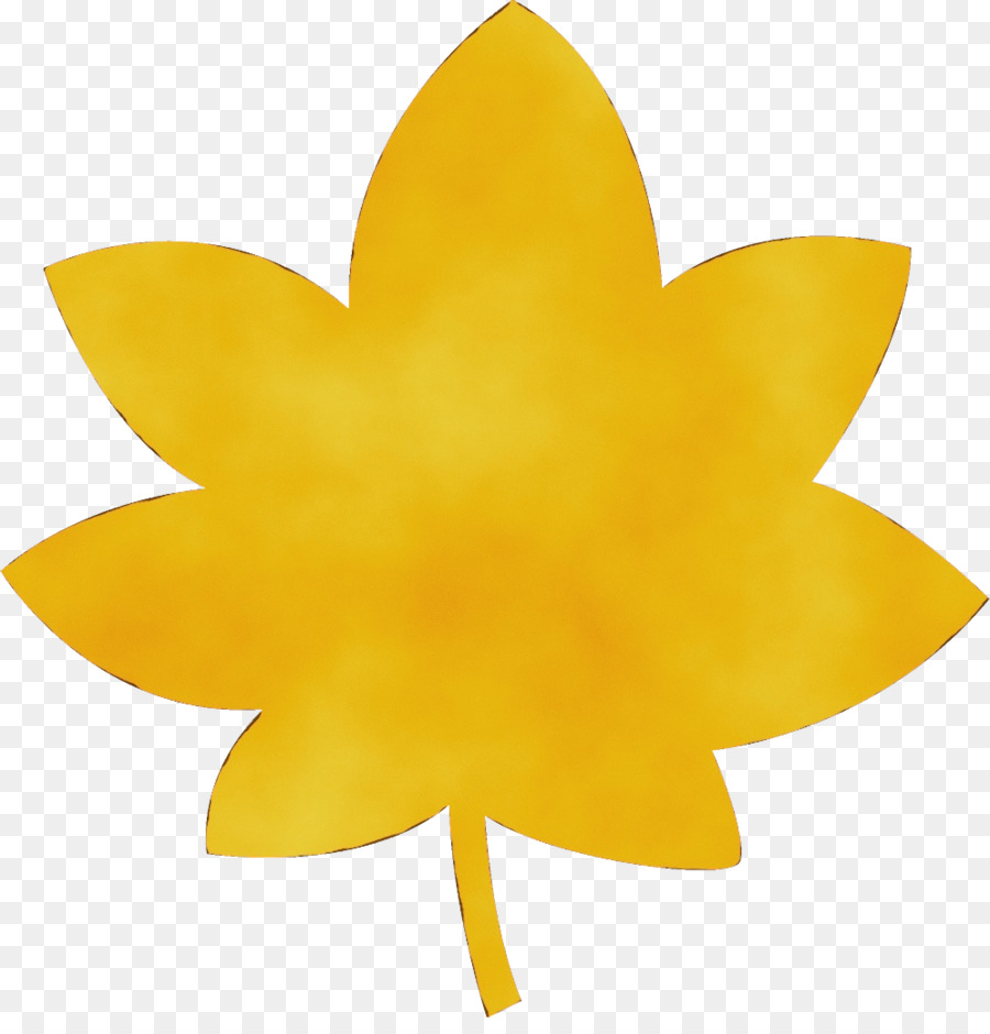 Jaune，Feuille PNG