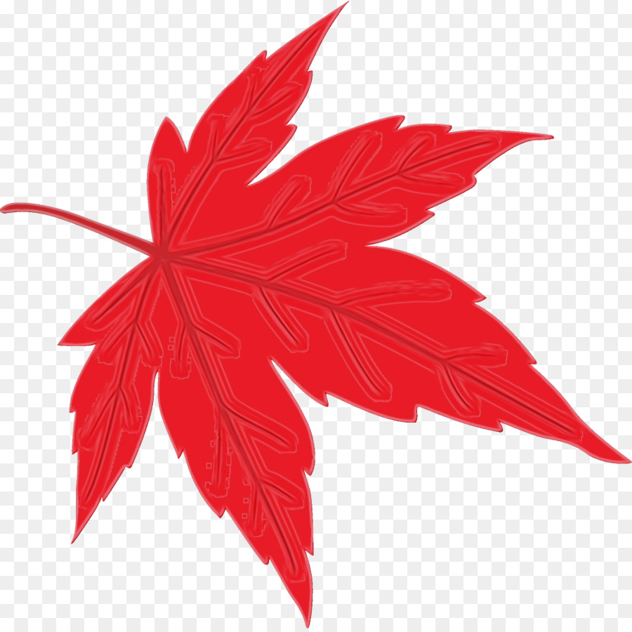 Feuille Rouge，Nature PNG