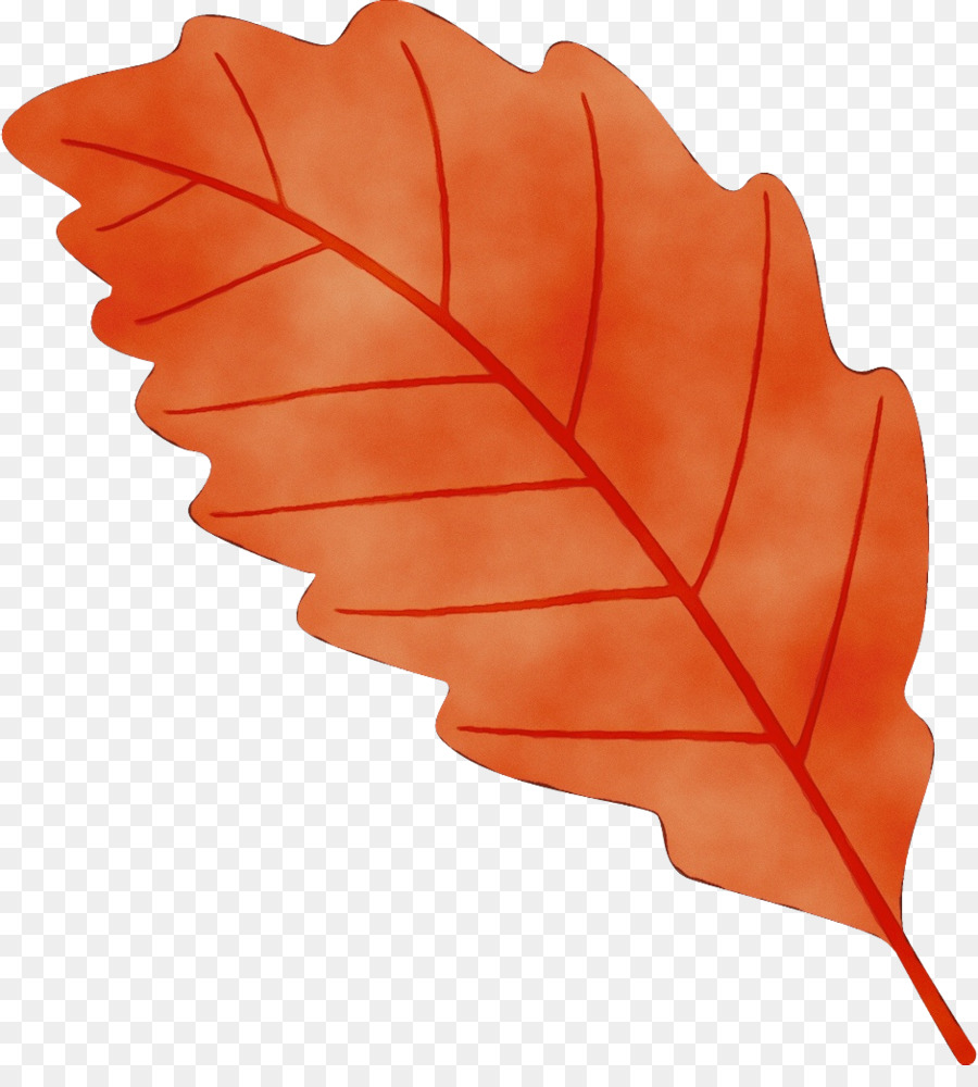 Feuille Rouge，Nature PNG