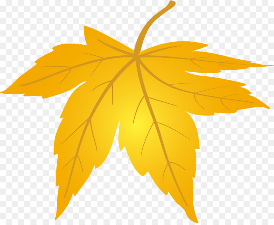 Feuille Jaune，Bifurquer PNG