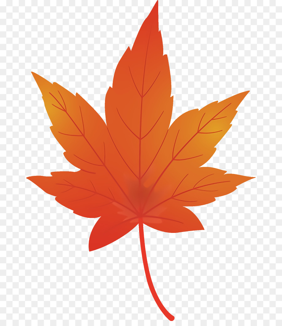 Feuille Rouge，Automne PNG