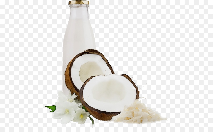 Noix De Coco，Lait PNG