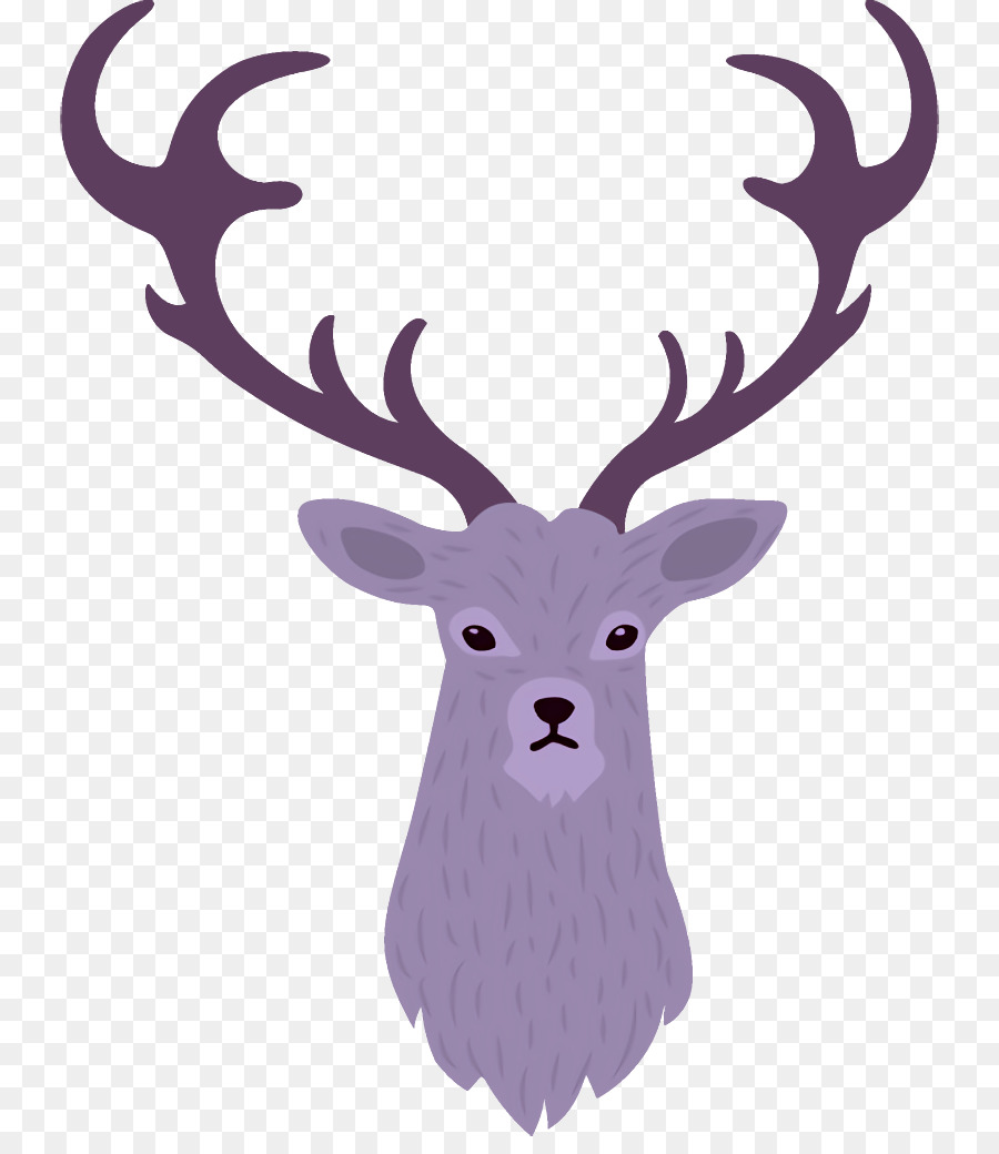 Cerf，Bois PNG