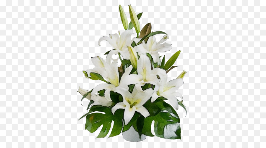 Fleur, Lys, Blanc PNG - Fleur, Lys, Blanc transparentes | PNG gratuit