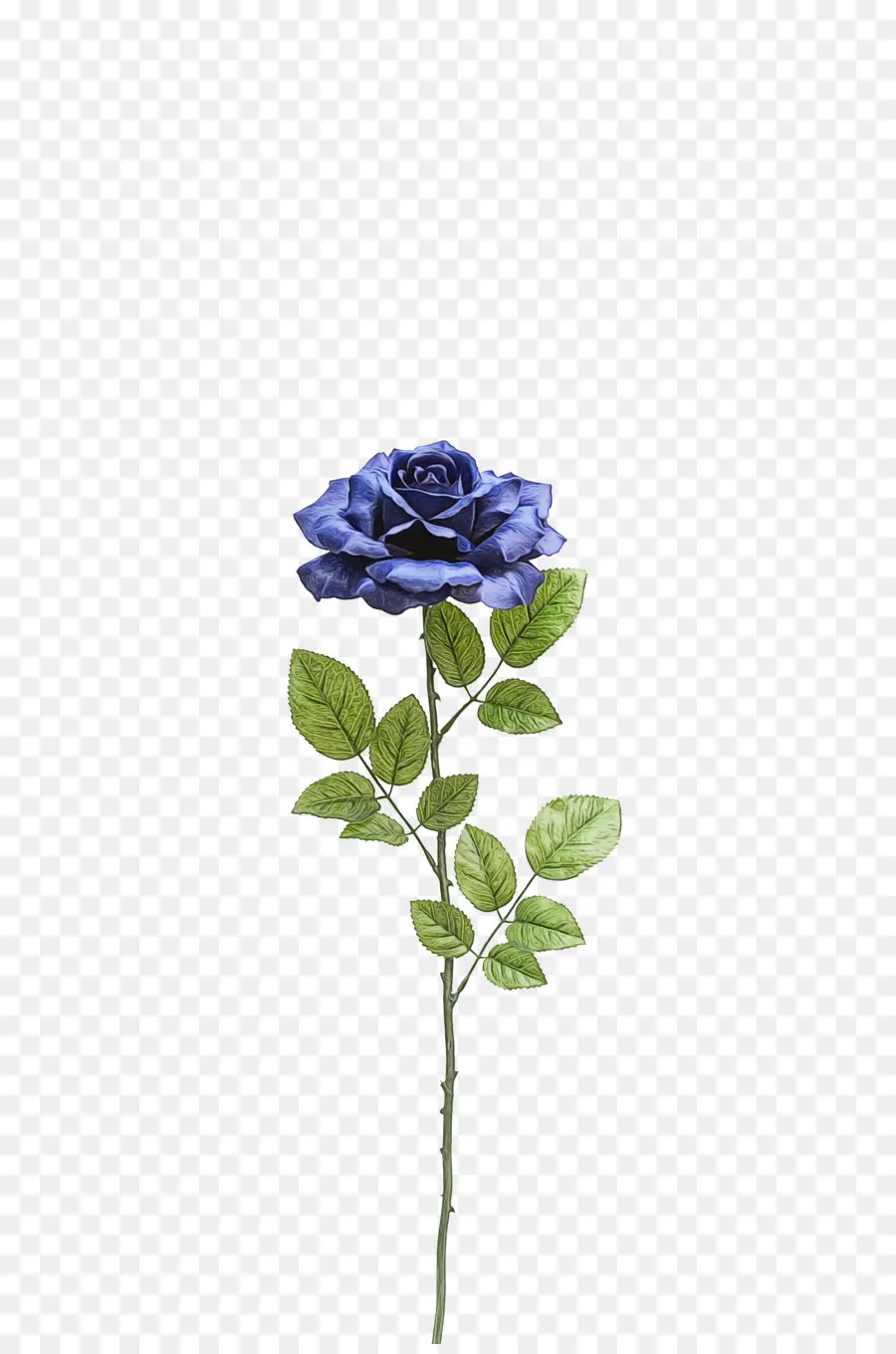 Rose Bleue，Tige PNG