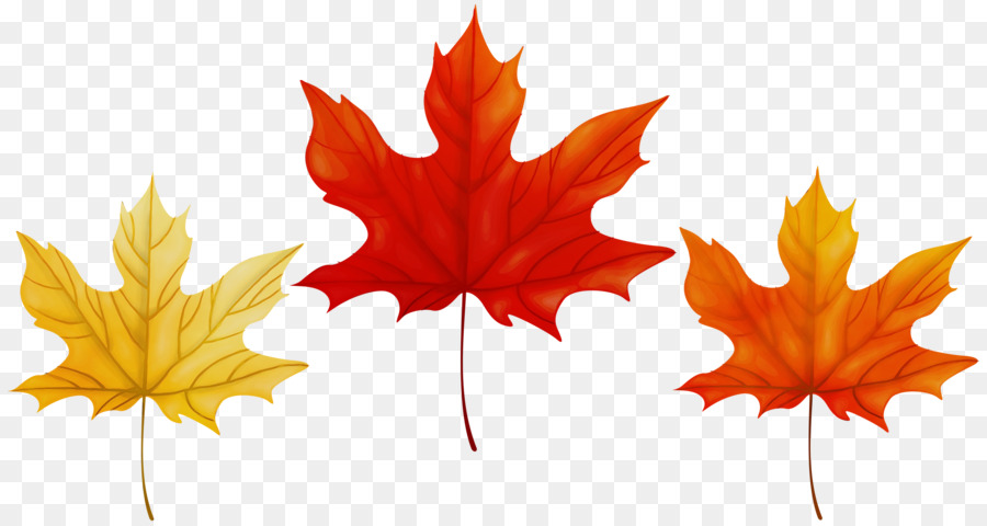 Feuilles D'automne，Automne PNG