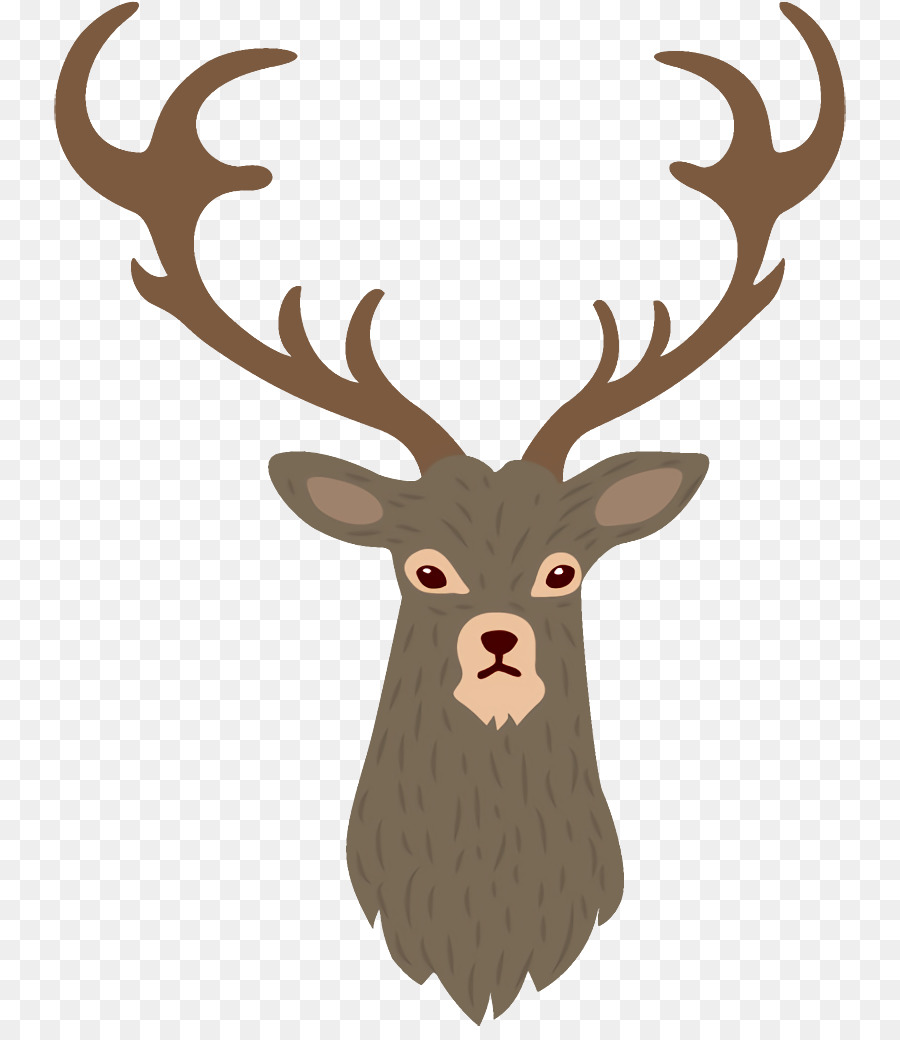 Cerf，Bois PNG