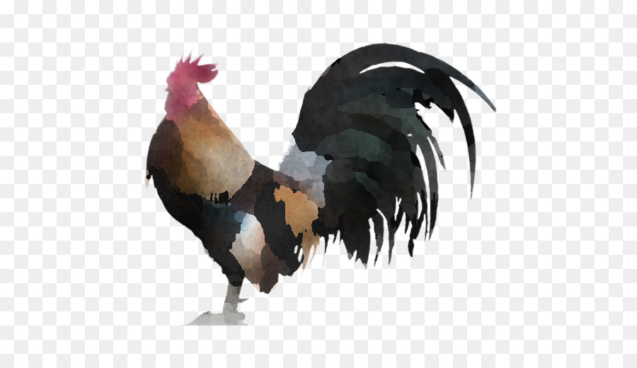 Coq，Poulet PNG