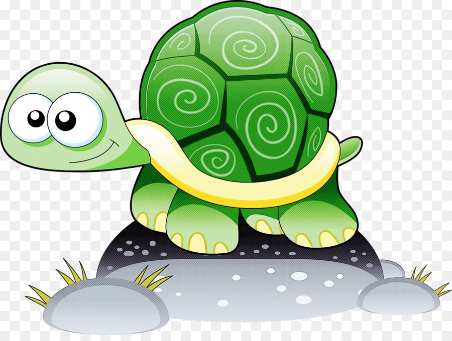 Tortue Et Escargot De Dessin Animé，Animal PNG