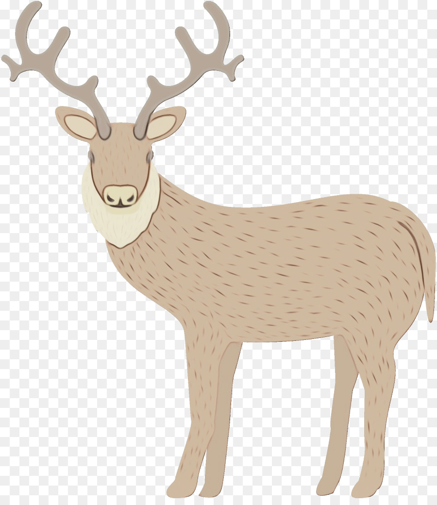 Cerf，Bois PNG