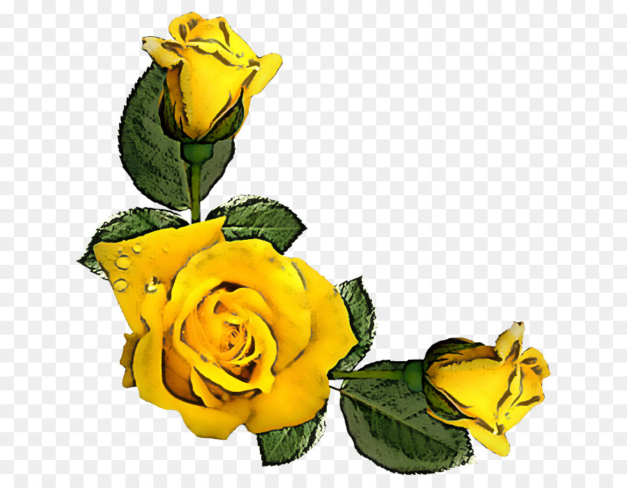 Rose Jaune，Rose PNG