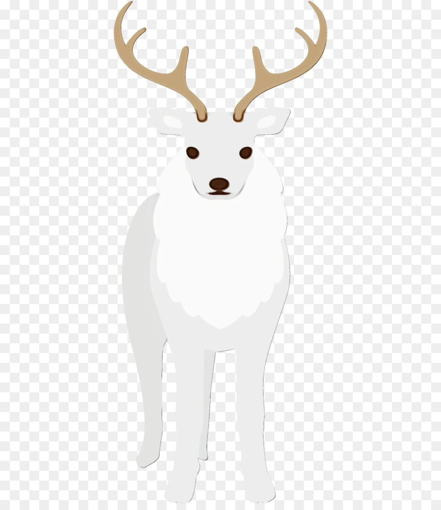 Blanc，Cerf PNG