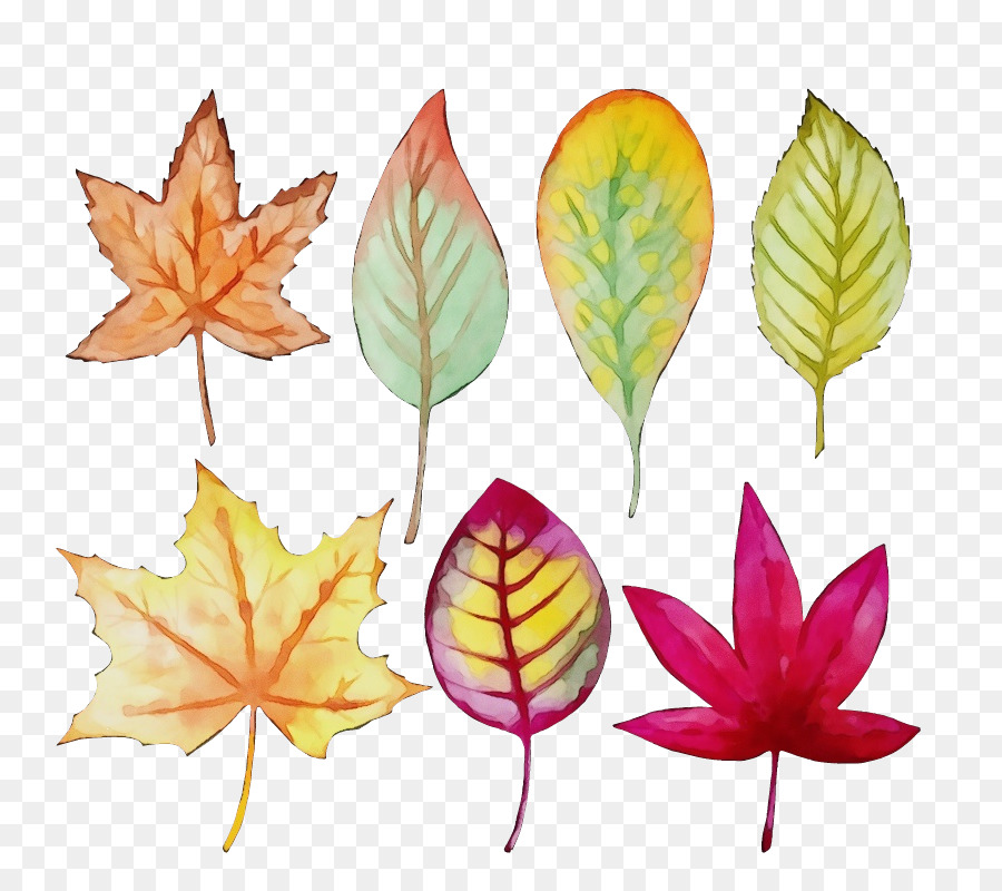 Feuilles D'automne，Automne PNG