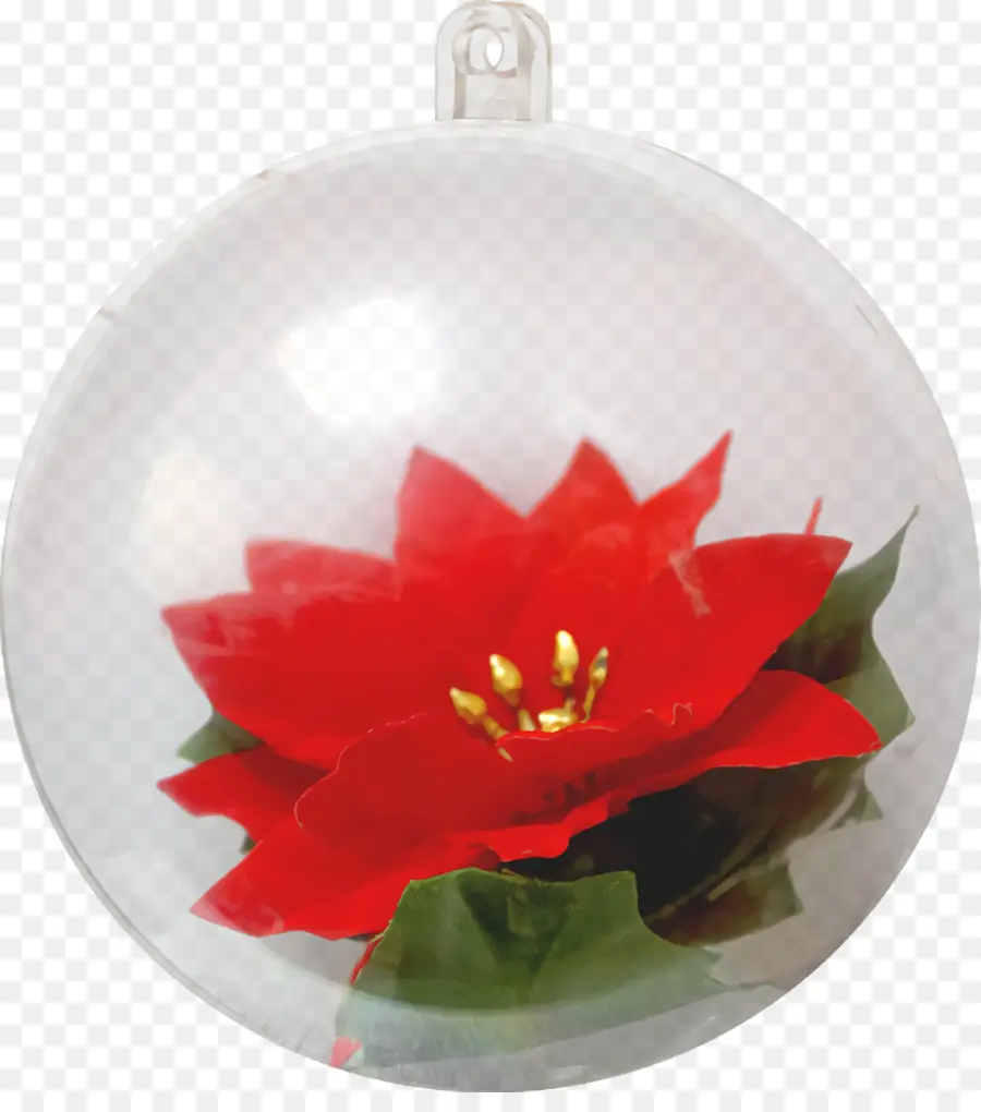 Ornement Transparent Avec Poinsettia，Poinsettia PNG