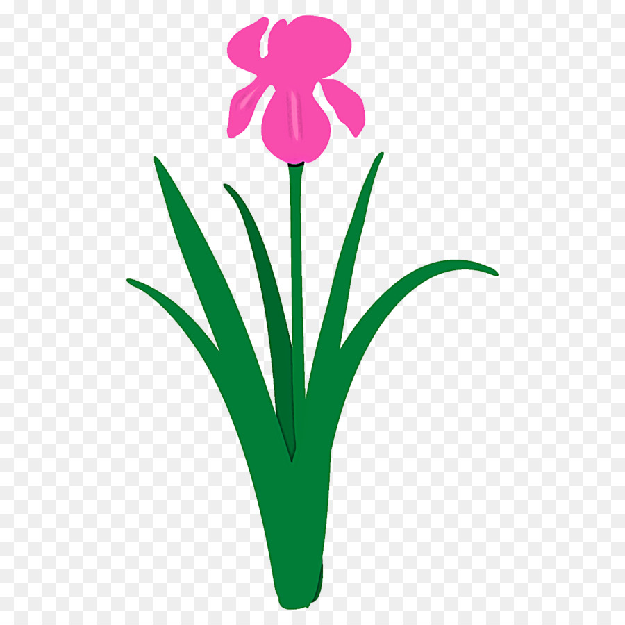 Fleurs Roses，Floraison PNG