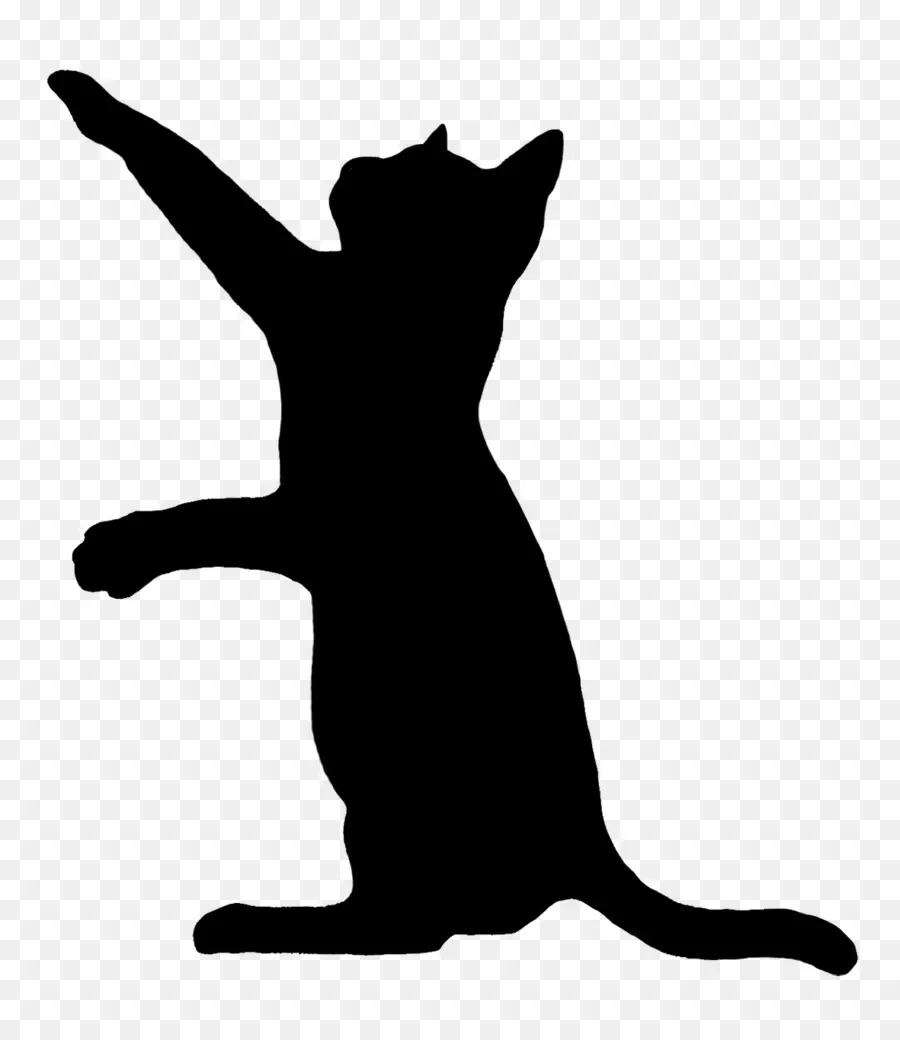 Silhouette De Chat Noir，Chat PNG