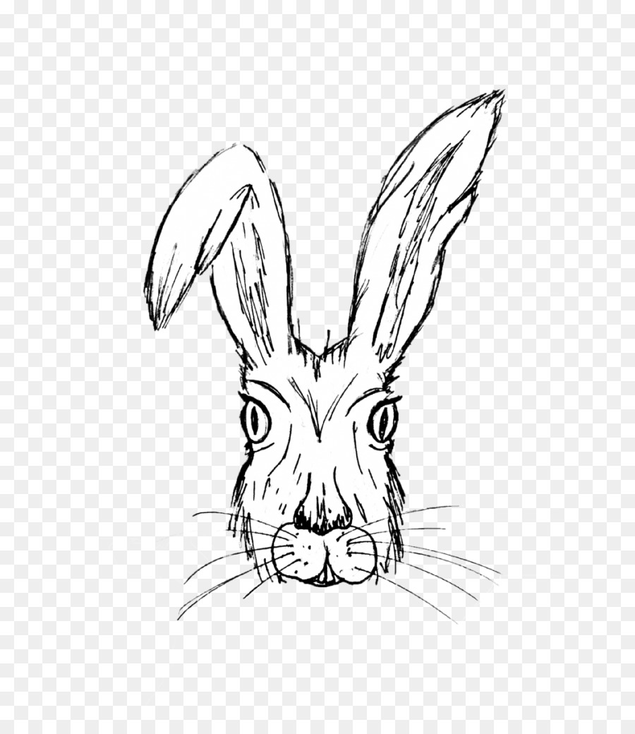 Lapin，Esquisser PNG