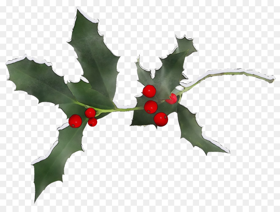 Le Houx，Américaine Holly PNG