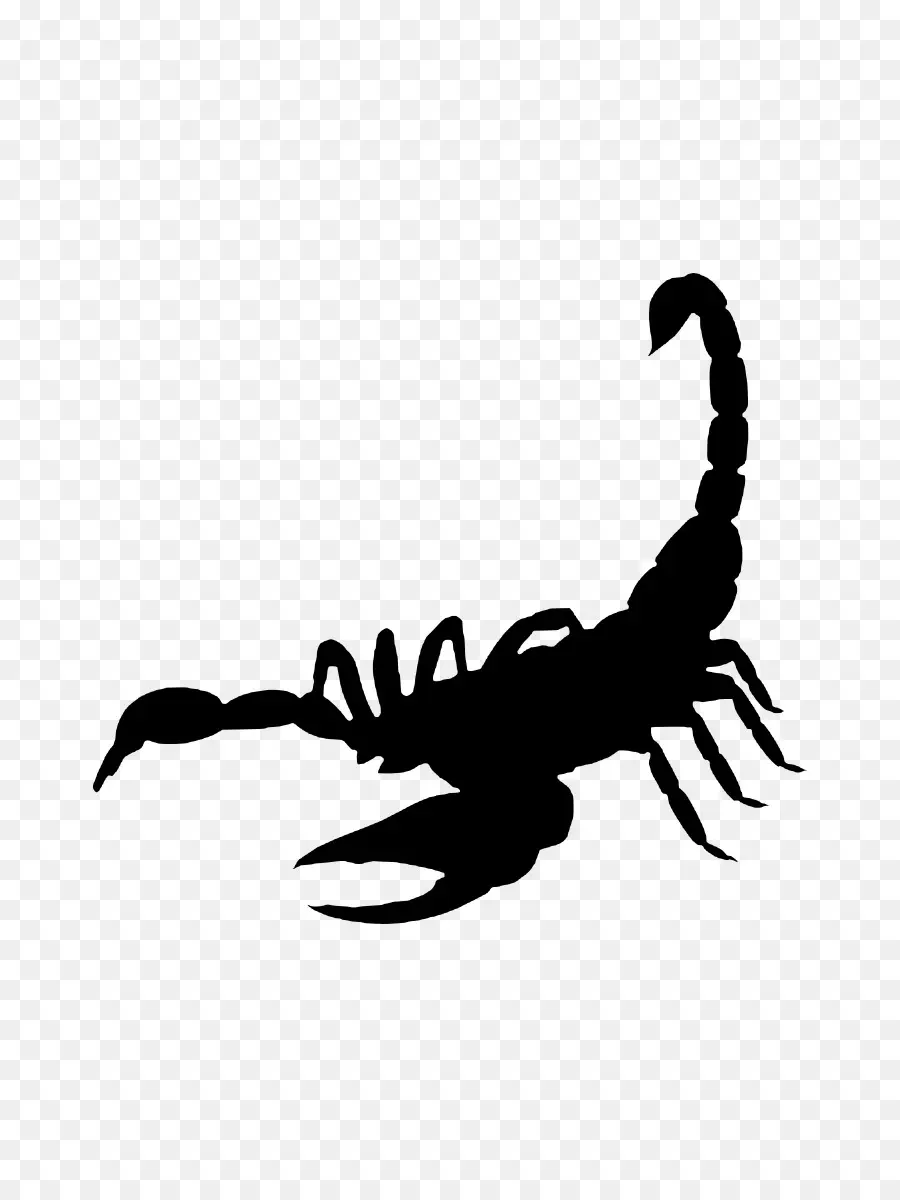 Scorpion，Le Homard D'amérique PNG