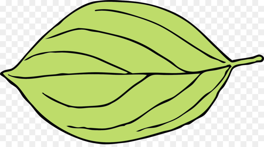 Feuille，Plante PNG