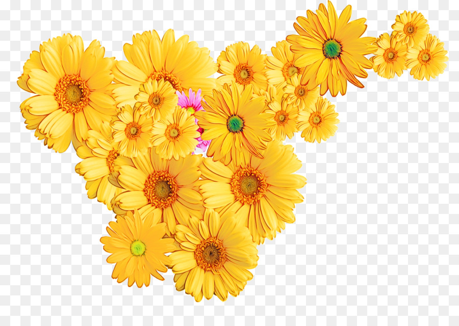 Fleurs Jaunes，Fleurir PNG