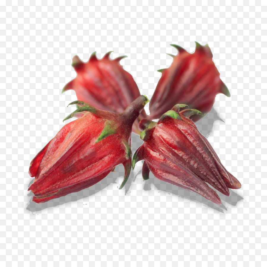 Fleur，Rouge PNG