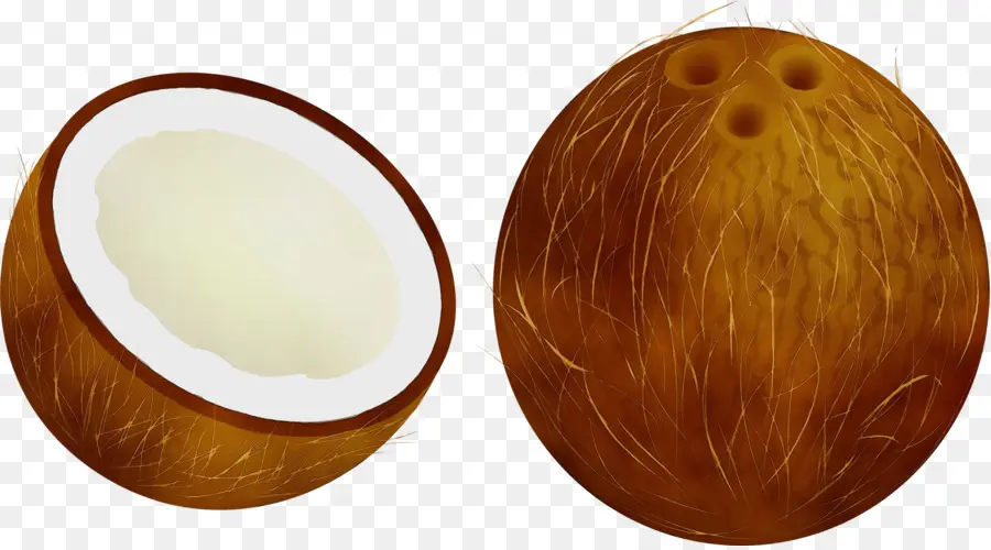 Noix De Coco，Brun PNG