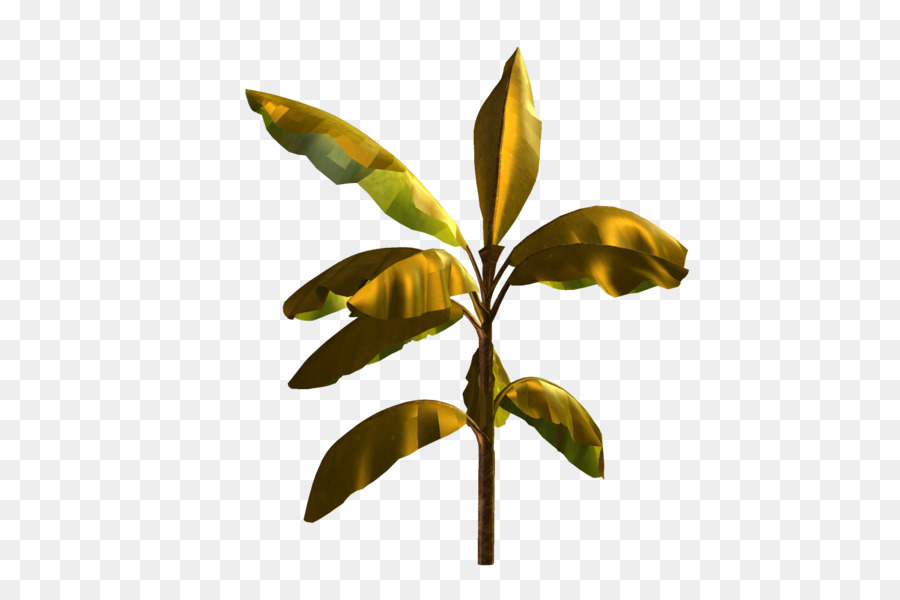 Feuille，Plante PNG