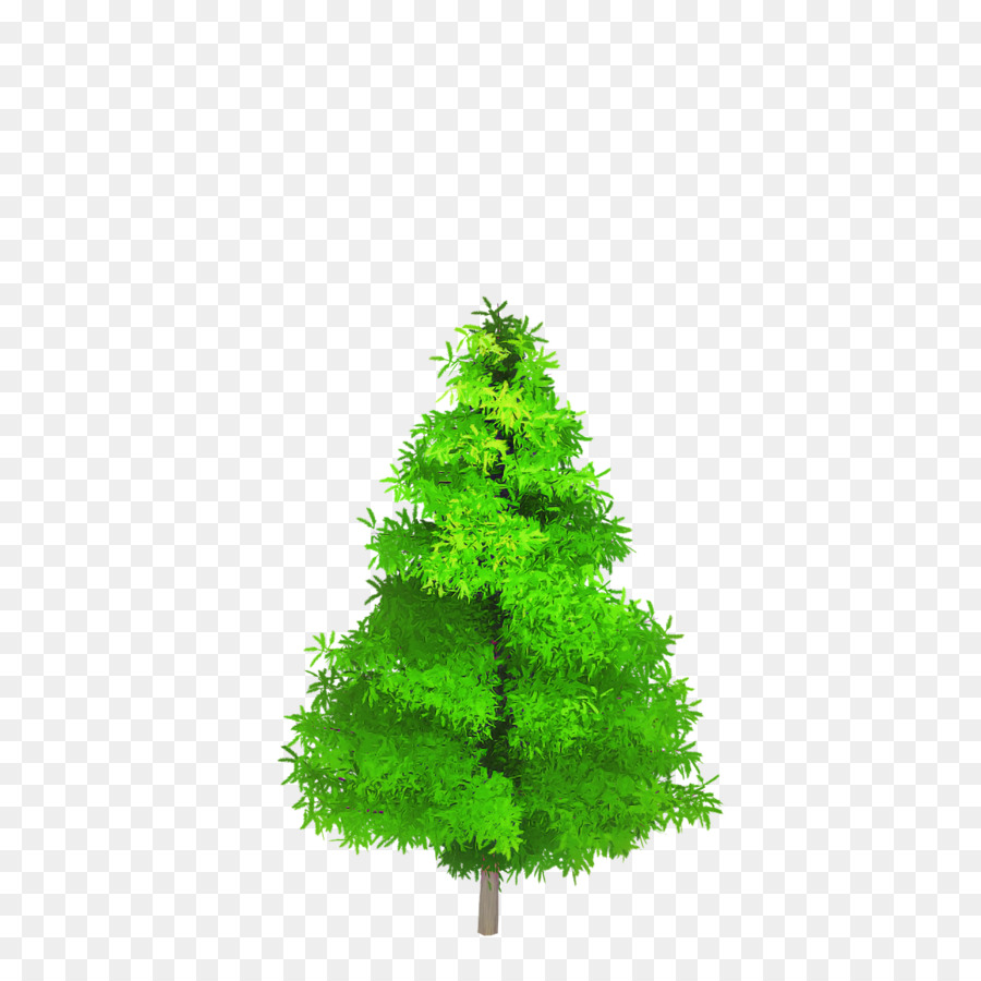 Arbre，Pin PNG