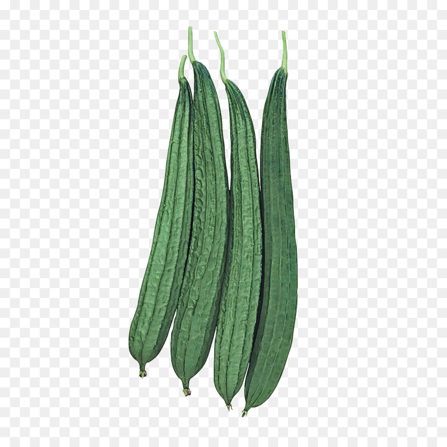 Vert，Feuille PNG