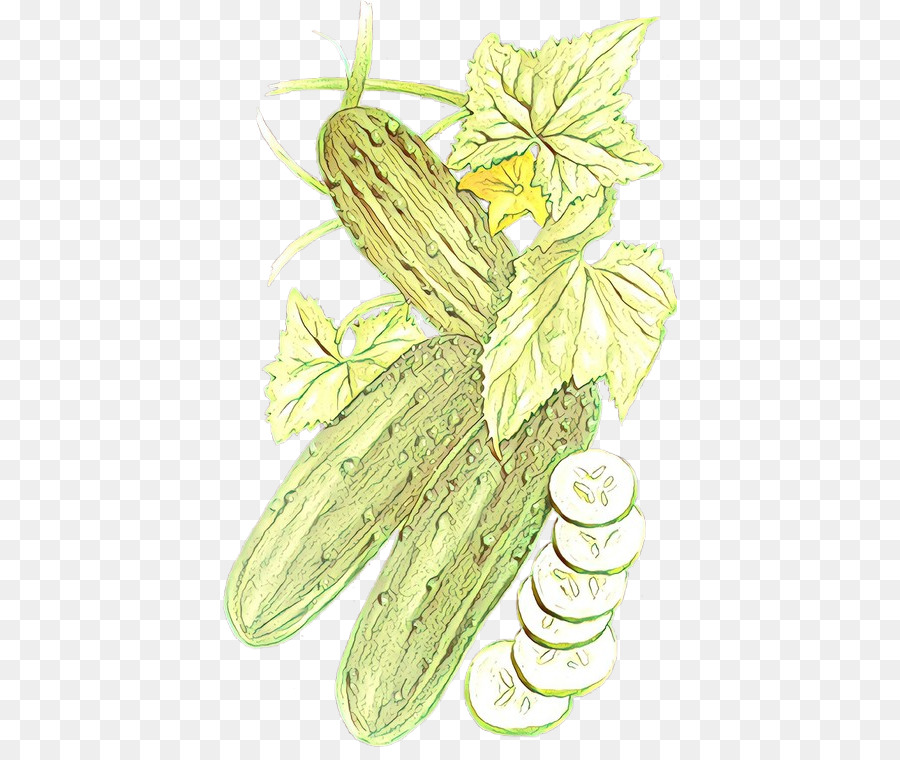 Feuille，Plante PNG