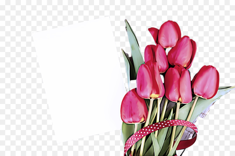 Tulipes Rouges，Tiges Vertes PNG