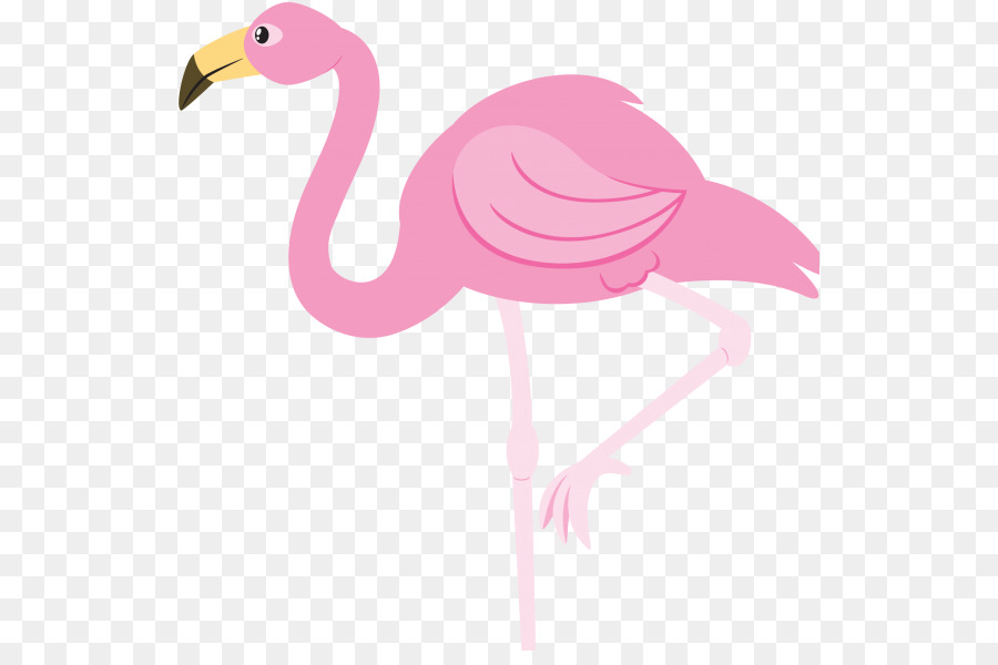 Flamingo，Flamant Rose PNG