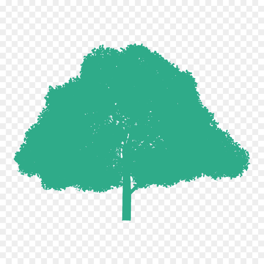 Arbre Vert，Arbre PNG