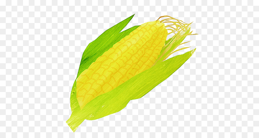 Feuille，Jaune PNG