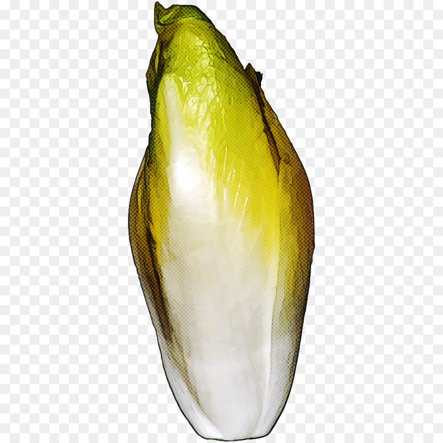 Jaune，Plante PNG