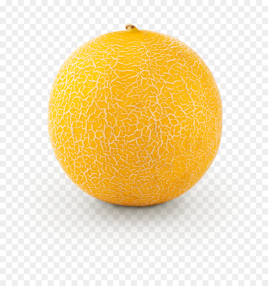 Fruits，Le Melon PNG