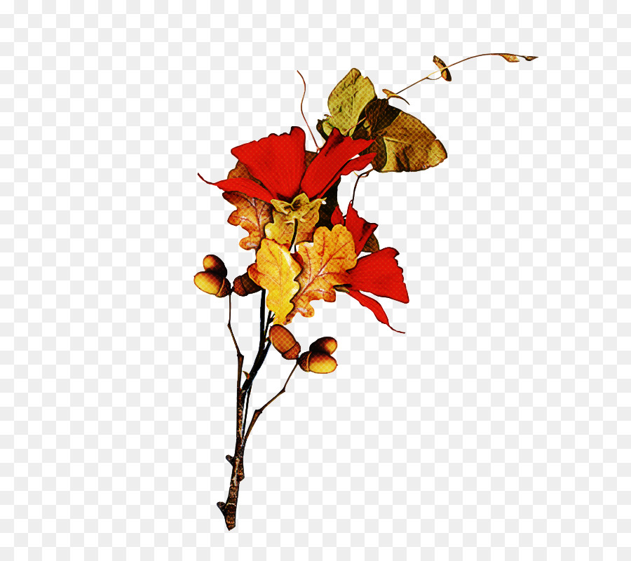 Fleurs D'automne，Feuilles PNG