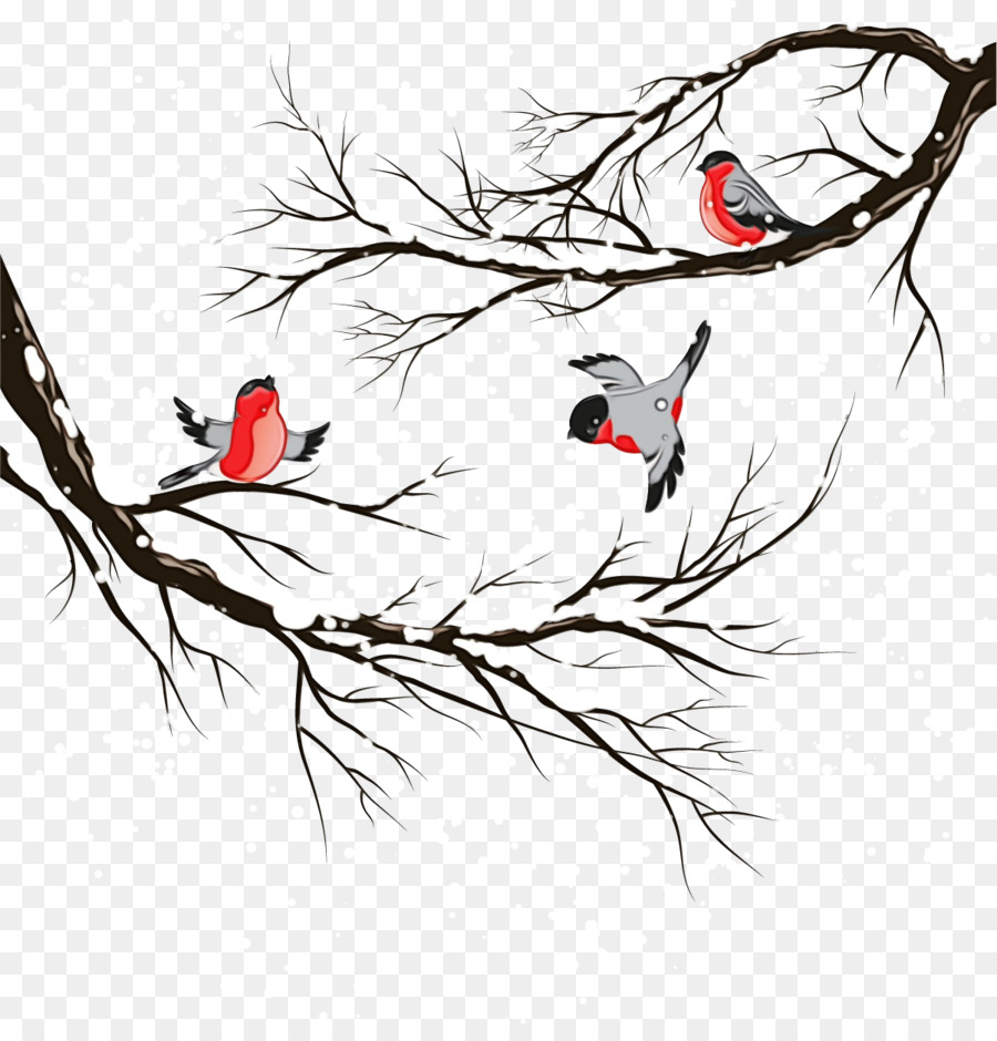 Oiseau，Branche PNG