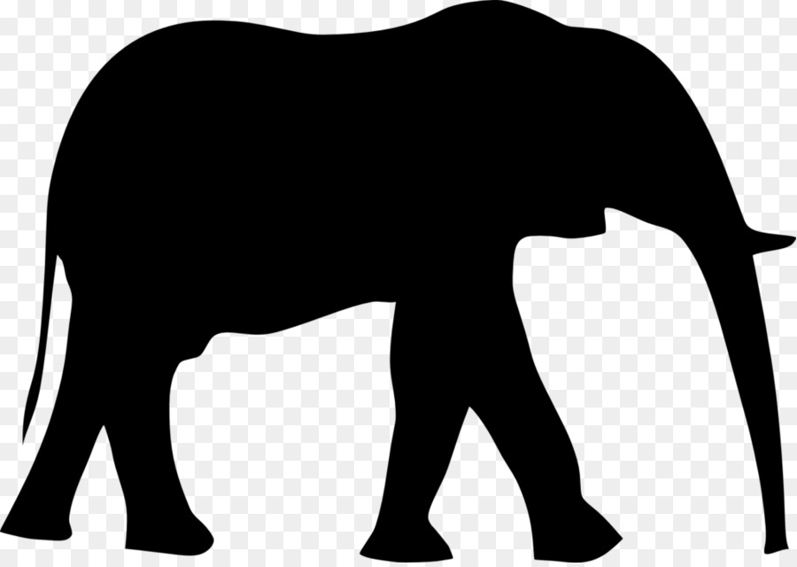 L'éléphant，éléphant Indien PNG