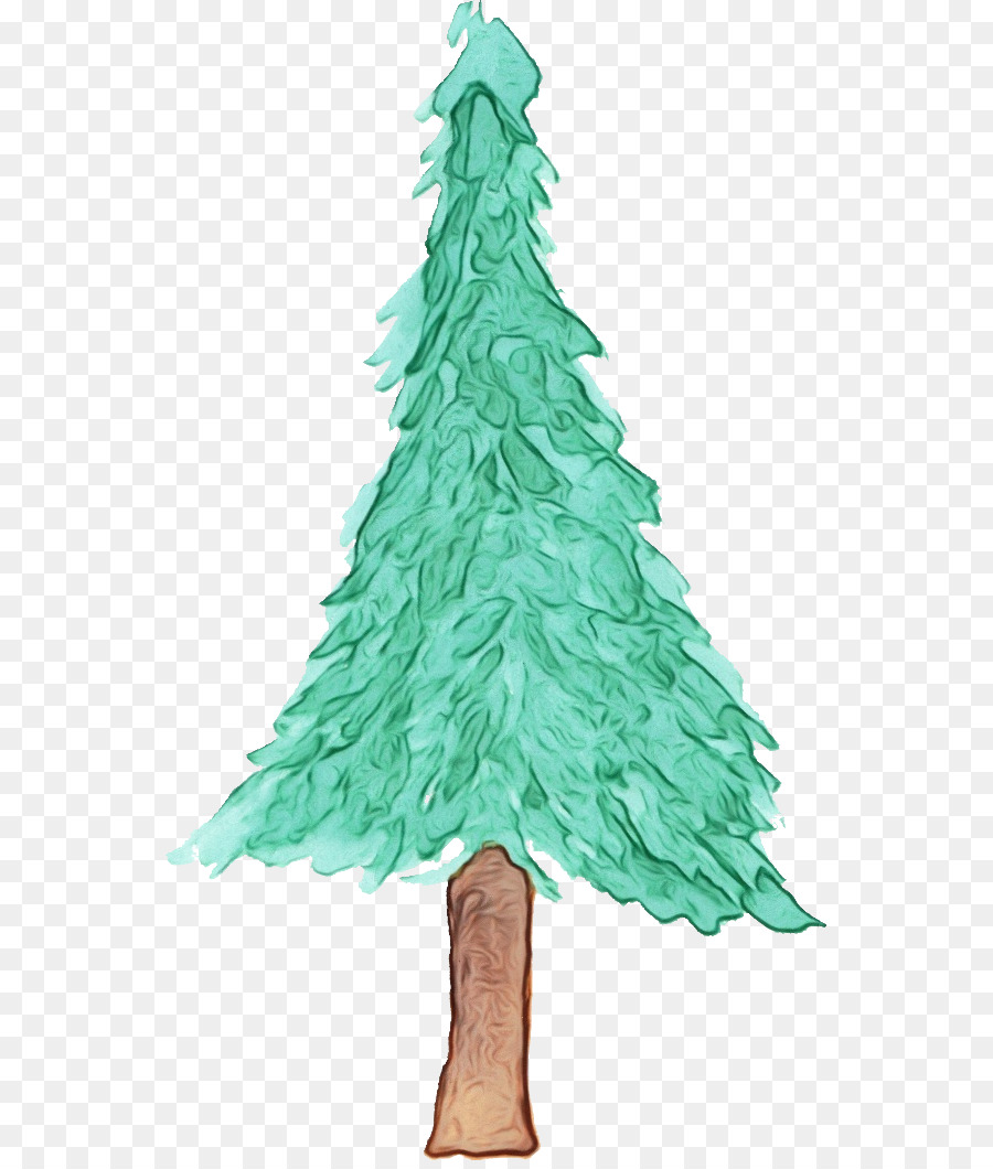 épinette Du Colorado，Pin Blanc PNG