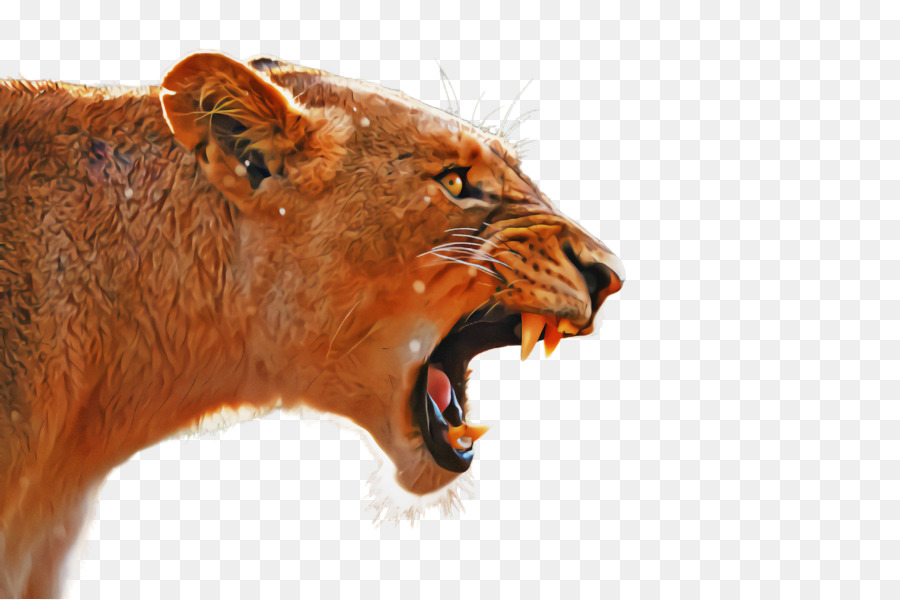 Lion，Rugissement PNG