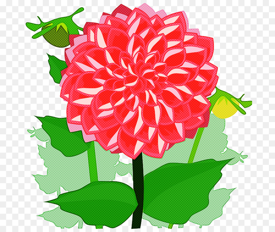 Fleur，Plante PNG