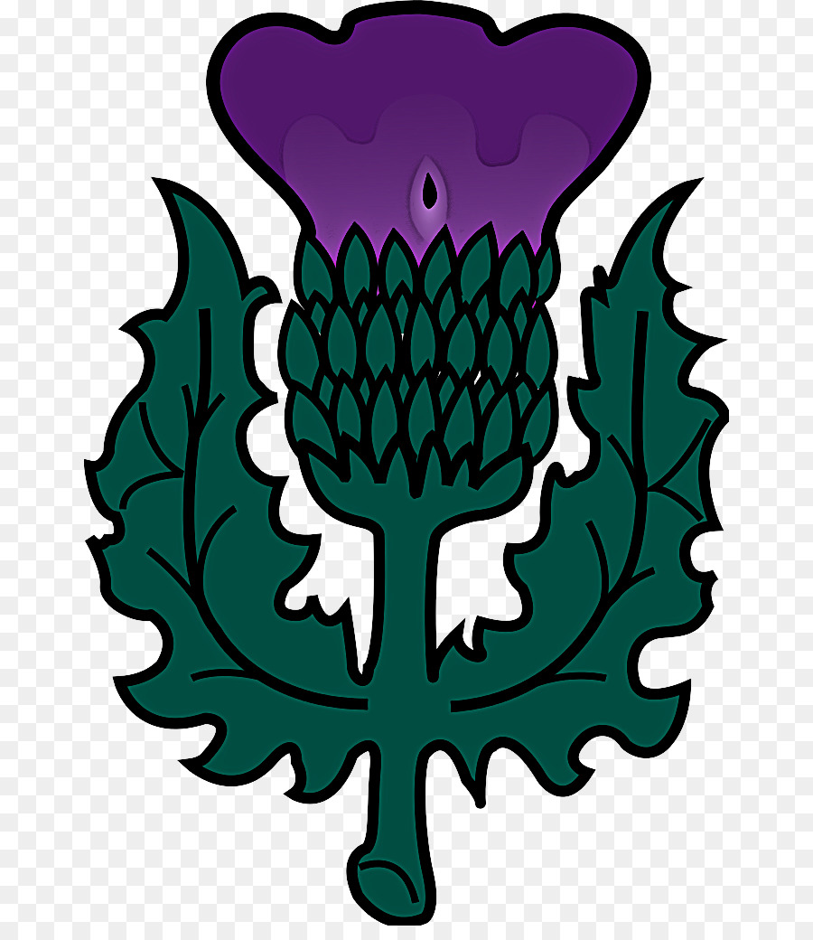 Feuille，Plante PNG