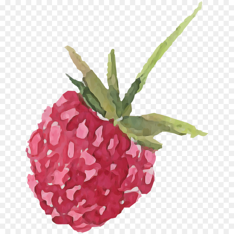 Framboises，Baies PNG